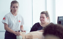 p3200593_250x154_crop_478b24840a