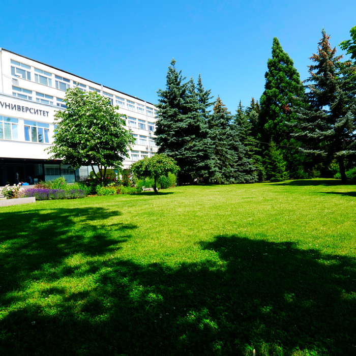 1844695-copy_700x700_crop_478b24840a