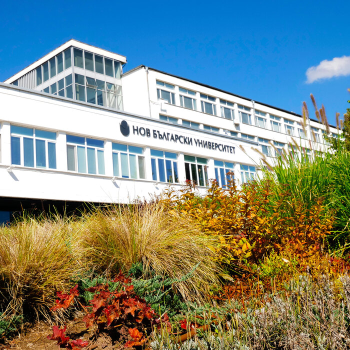 1922354_700x700_crop_478b24840a